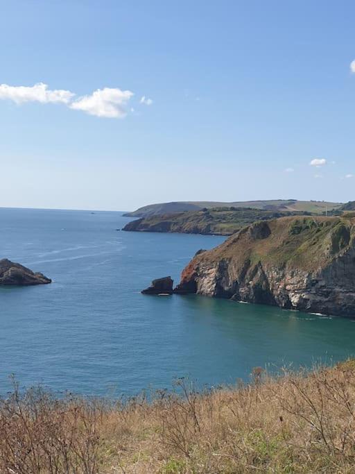 Rosedale A Charming Detached 4 Bedroom Cottage. Brixham Esterno foto